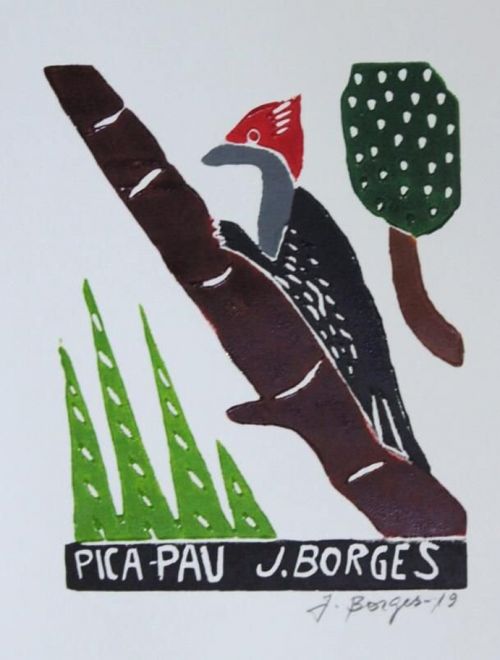 Xilogravura Pica-Pau P -  J. Borges - PE