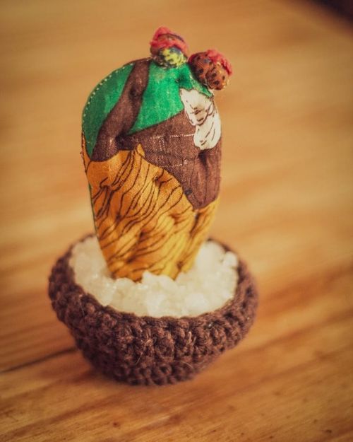 Vaso Palma de Tecido e Crochê - Meu Mandacaru